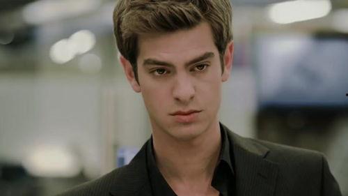 加菲尔德资料,美国第20任总统的传奇人生与政治风云